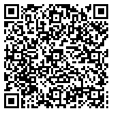 QR code 29123291100000