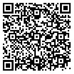QR code 10009199100000