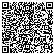 QR code 38386821000000
