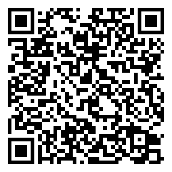 Handyman T4 QR code QR code 54113840300000