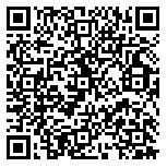 QR code 38783379200000