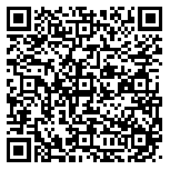 QR code 38210265800000