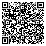 QR code 38666238300000