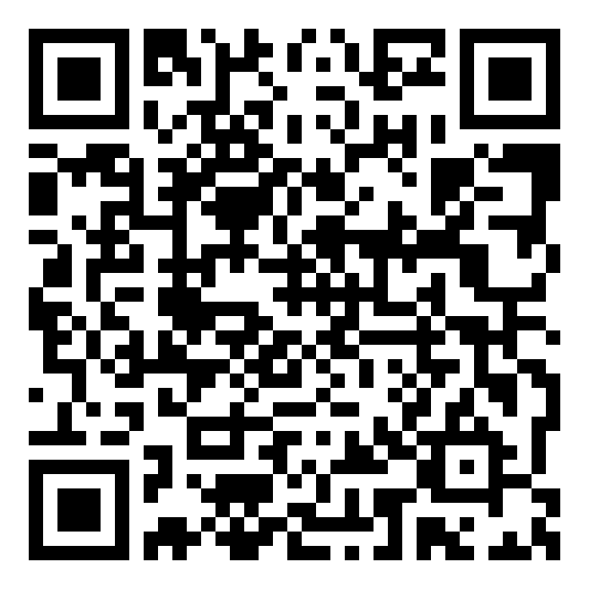 QR code 30065029500000