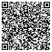 QR code 12310041000000