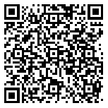 QR code 54251387200000