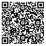 QR code 09163838700000