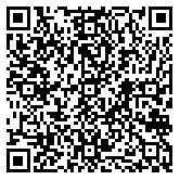 QR code 38728186100000