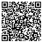 QR code 38919335100000