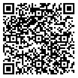 QR code 38228516200000