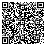 QR code 13029997500000