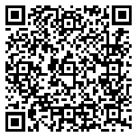 QR code 65000009200000
