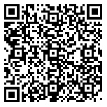 QR code 38933521300000