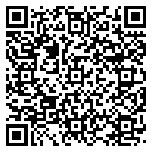 QR code 38581475000000