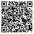 QR code 10086838500000