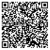 QR code 38563280700000