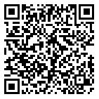 QR code 10065063400000