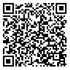 QR code 38809129800000