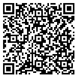 QR code 18038501000000