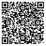 QR code 38163225900000