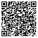 QR code 38427009300000