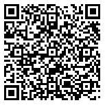 QR code 29161900100000