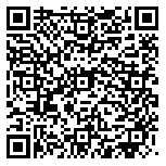 QR code 29116666300000