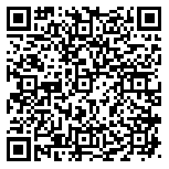 QR code 54393743300000