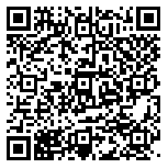 QR code 36389333000000