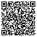 QR code 54163294200000