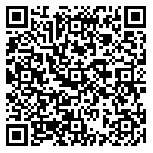 QR code 63026538600000