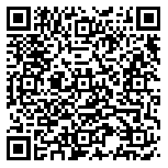 QR code 10068343800000