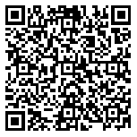 QR code 54103129500000