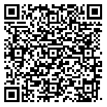 QR code 38197521000000