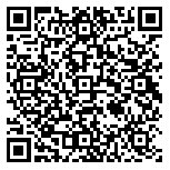 QR code 38113377000000