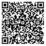 QR code 16039298700000