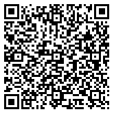 QR code 38163487300000