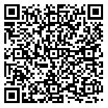 QR code 29115915000000