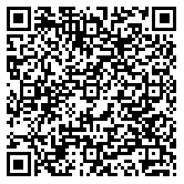 QR code 38412850900000