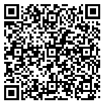 QR code 52039895100000
