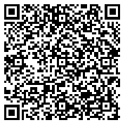QR code 38279996100000