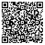 QR code 81178539300000