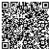 QR code 52206171800000