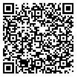 QR code 29095873500000