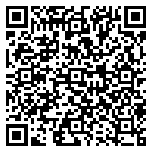 QR code 41153865500000