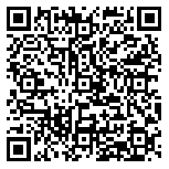 QR code 38212445300000