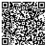 QR code 38658782000000