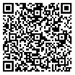 QR code 63981413300000