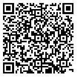 QR code 38112736600000