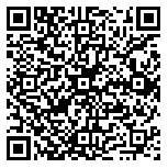 QR code 38042873000000